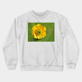 Sunny Summer Buttercup Crewneck Sweatshirt